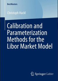 Calibration and parameterization methods for the Libor market model