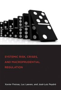 Systemic risk, crises, and macroprudential regulation