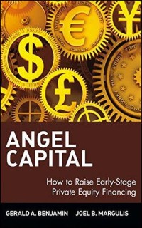 Angel capital : how to raise early-stage private equity financing