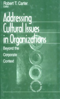 Addressing cultural issues in organizations : beyond the corporate context