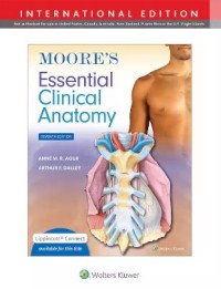 Image of Moore's essential clinical anatomy
